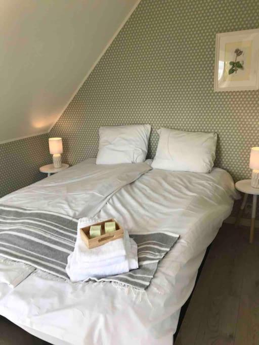 Villa Solhaug Bjoroyna エクステリア 写真
